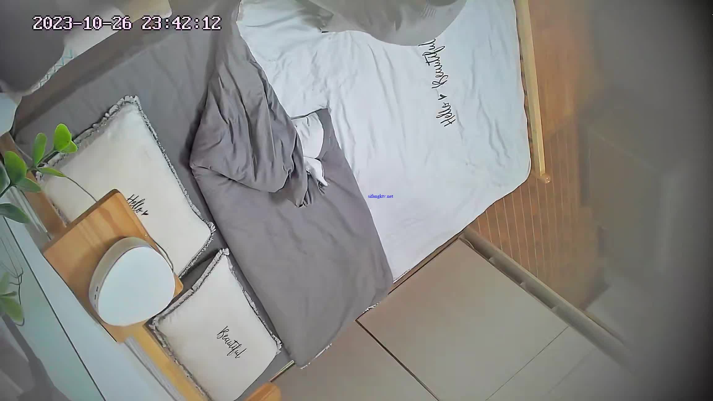 2023-10-27新流出民宿酒店偷拍学生情侣开房性欲很强的妹子睡觉小哥也不让她闲着