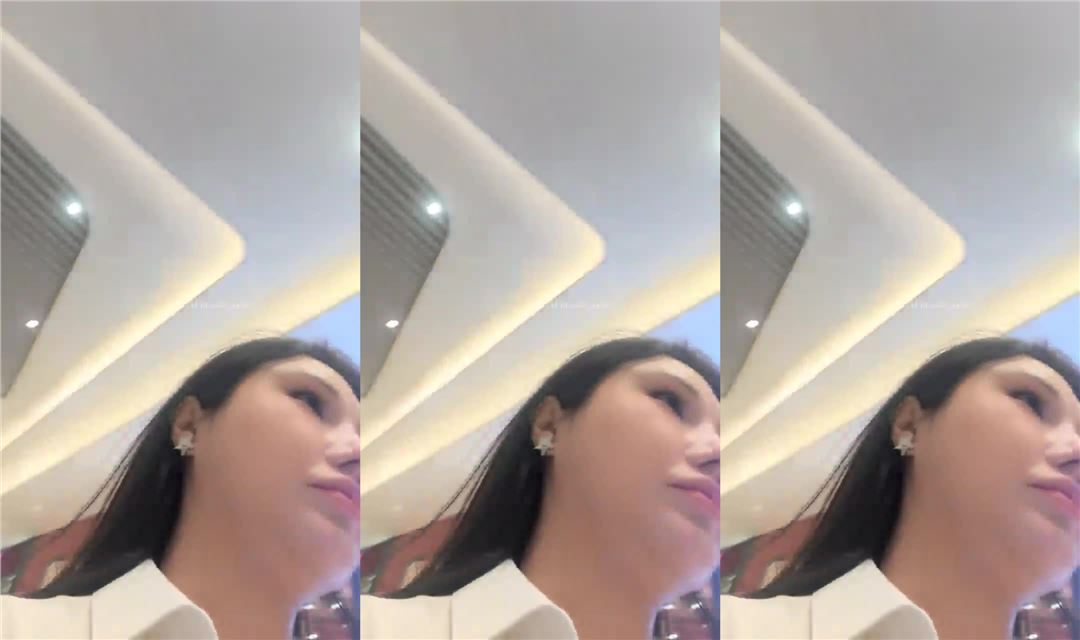 职业女秘书