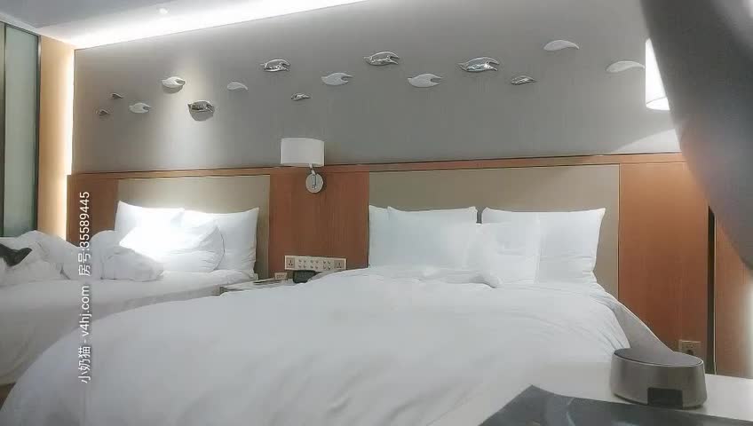 175车模2020.11.17第一场
